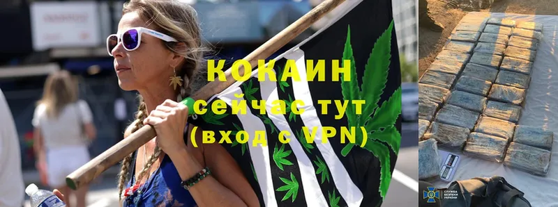 COCAIN 98% Курильск