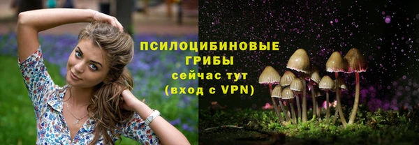 тгк Пестово