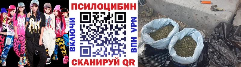 Галлюциногенные грибы прущие грибы  Курильск 